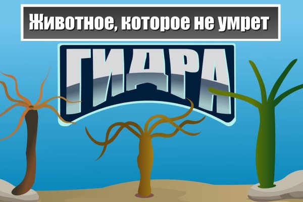 Кракен сайт 2krnk