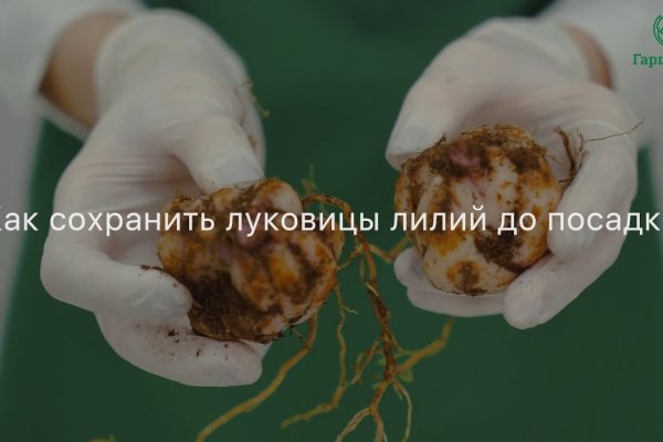 Кракен ru