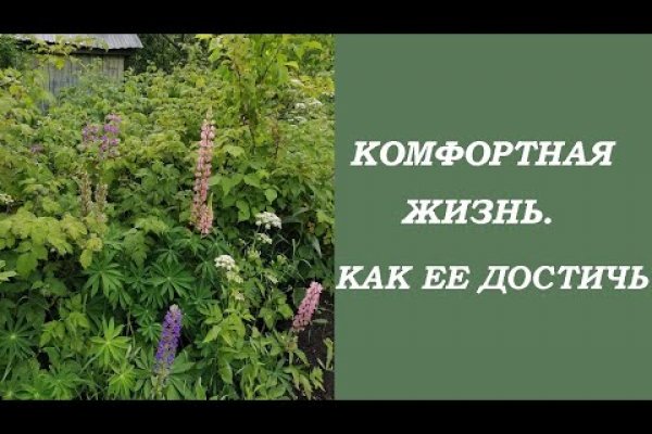 Купить наркотики через кракен