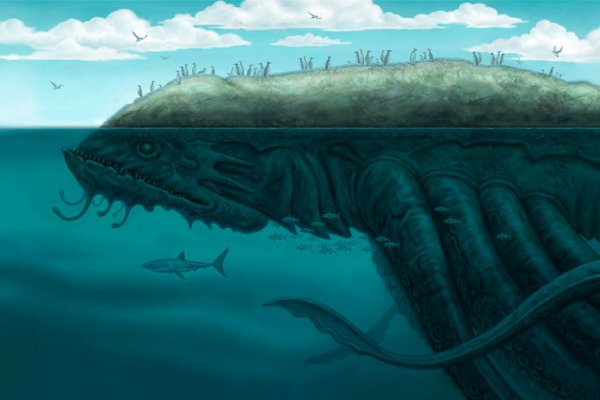 Kraken 12 at что это