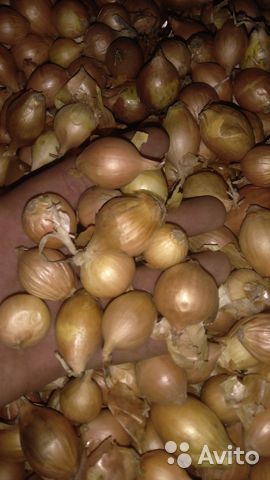 Kraken cc зеркало kr2web in